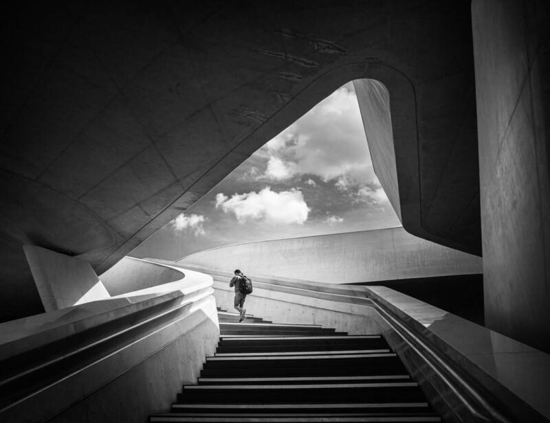 Image of Going Up by Noel Fenech Photography